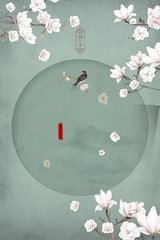 破解家庭摄像头 1080p